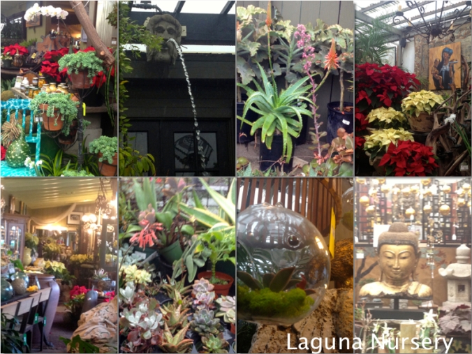 Laguna Nursery Collage