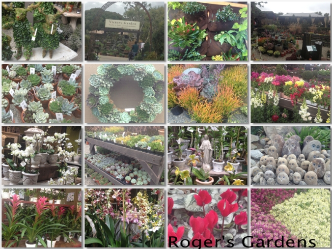 Roger's Gardens Collage